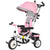 HOMCOM 4 in 1 Kids Trike Push Bike w/ Push Handle, Canopy, 5-point Safety Belt, Storage, Footrest, Brake, for 1-5 Years, Pink