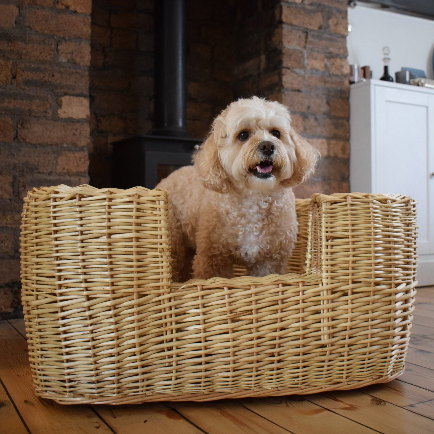 Best In Show - Winston Wicker Pet Bed (Medium)