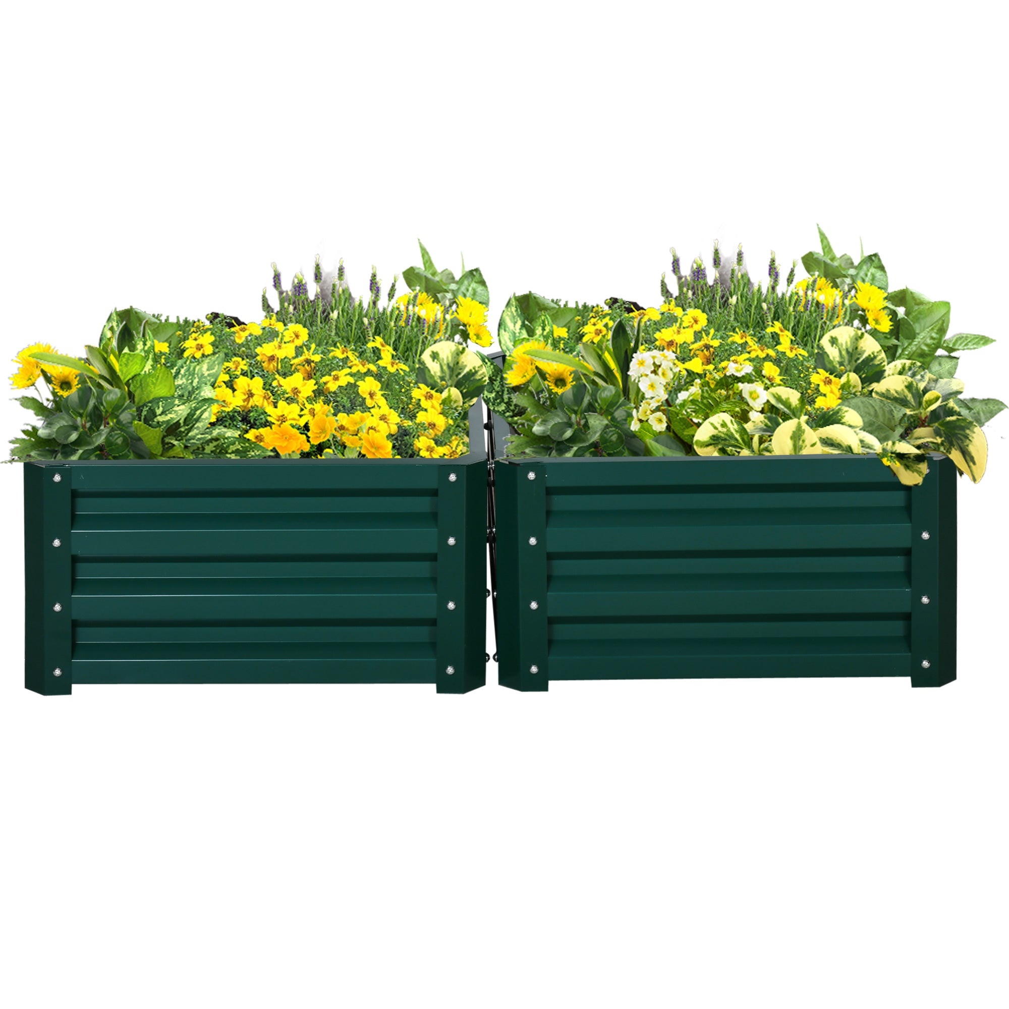 Outsunny Set of 2 Raised Garden Bed, Outdoor Elevated Galvanised Planter Box for Flowers, Herbs, 60x60x30.5cm, Green