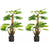 HOMCOM 2 Pack Artificial Plant Palm Tree in Pot, Fake Plants for Home Indoor Outdoor Decor, 135cm, Green