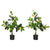 HOMCOM Artificial Trees: Lifelike Lemon & Orange Plants in Pots for Indoor/Outdoor Decor, 60cm, Green