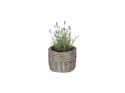 SMALL ROUND ANTIQUE WASH PLANTER