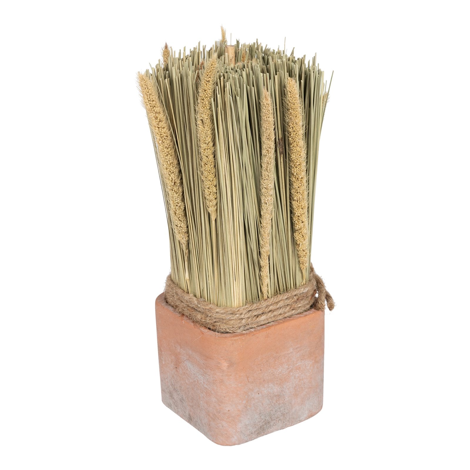 Corn Dried Grass Bouquet in Terracotta Pot - Large