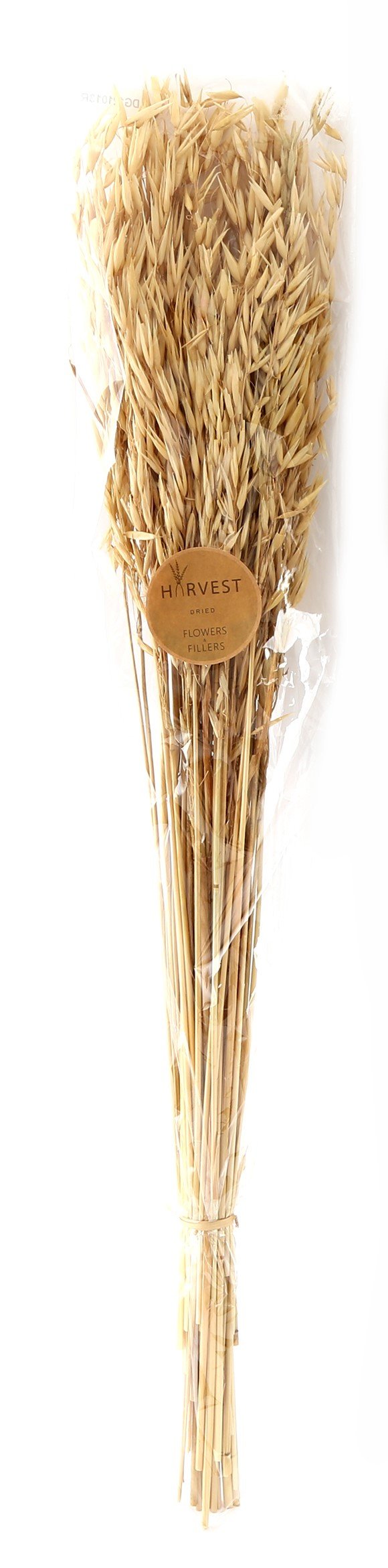 Avana Dried Oat Grass Bouquet