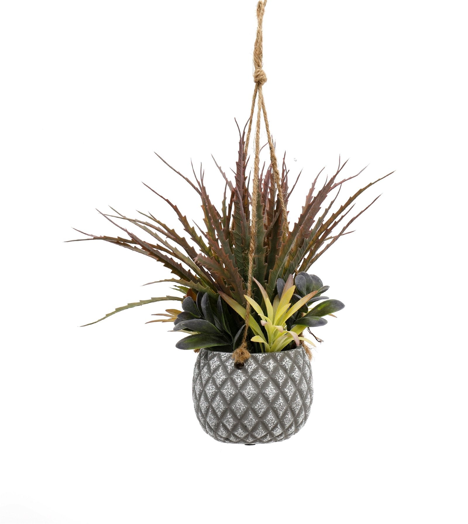 Hanging Succulents in Lattice Design Small Grey Pot