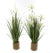 Set of 2 Artificial Standing Grass in Roped Pot