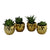 Set of 4 Miniature Succulents In Gold Geometric Pots