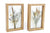 Pressed Flowers in Wooden Frames