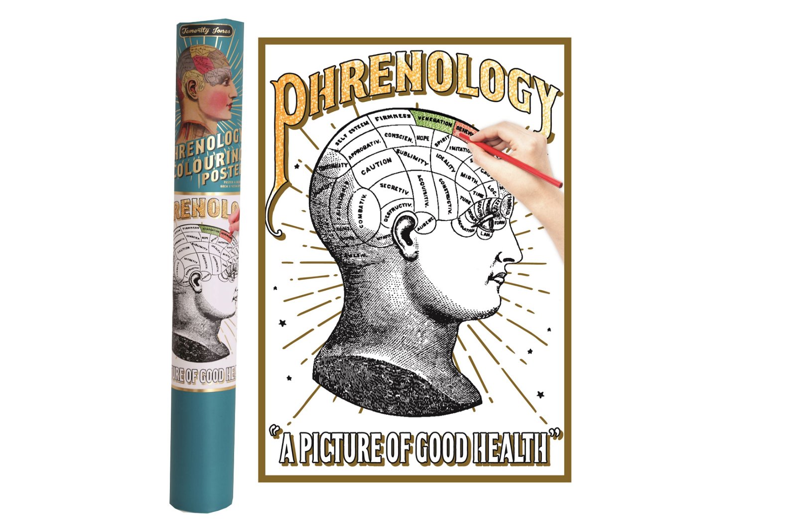 Phrenology Colouring Poster In Gift Tube